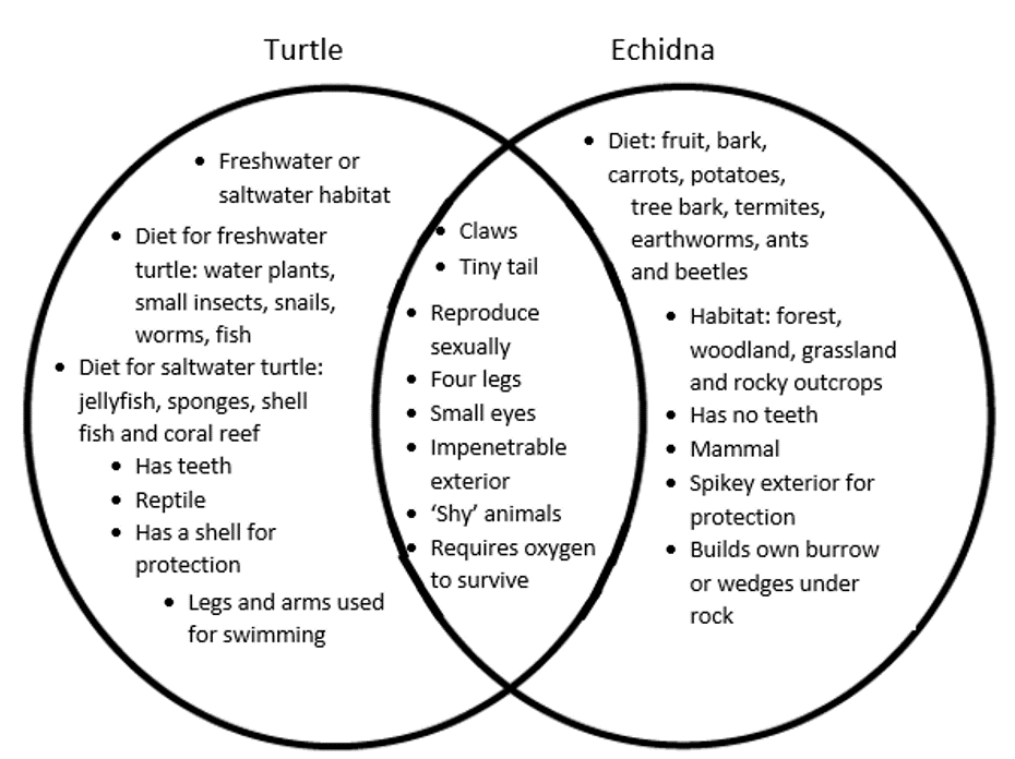 similarities between terrestrial and aquatic animals clipart